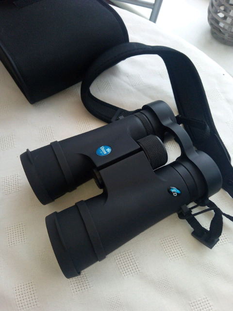 viking peregrine 8x42